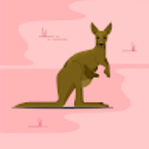 Meet your Posher, Liz